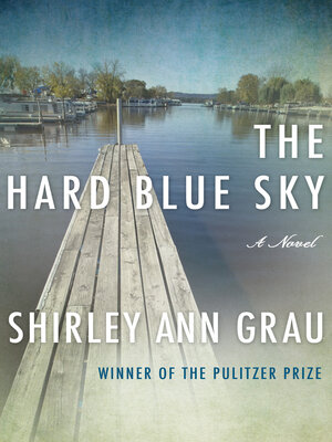 cover image of The Hard Blue Sky